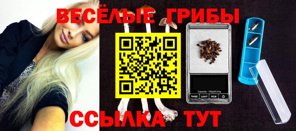 Галлюциногенные грибы Psilocybine cubensis Великие Луки