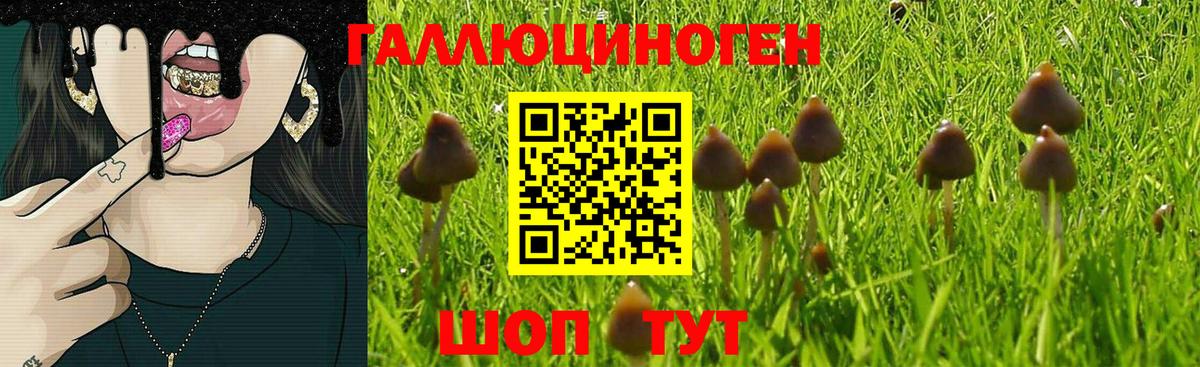 Великие Луки  Галлюциногенные грибы Psilocybe  Вход с VPN 